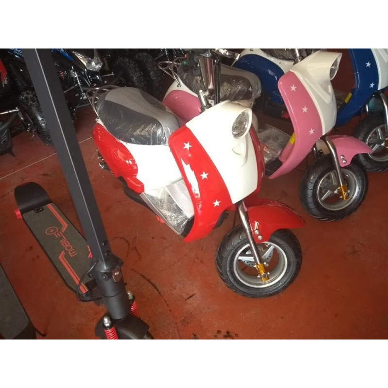 MINIMOTO  350W  LLANTA 6,5