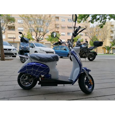 MINIMOTO  350W  LLANTA 6,5