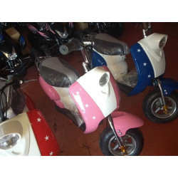 MINIMOTO  350W  LLANTA 6,5