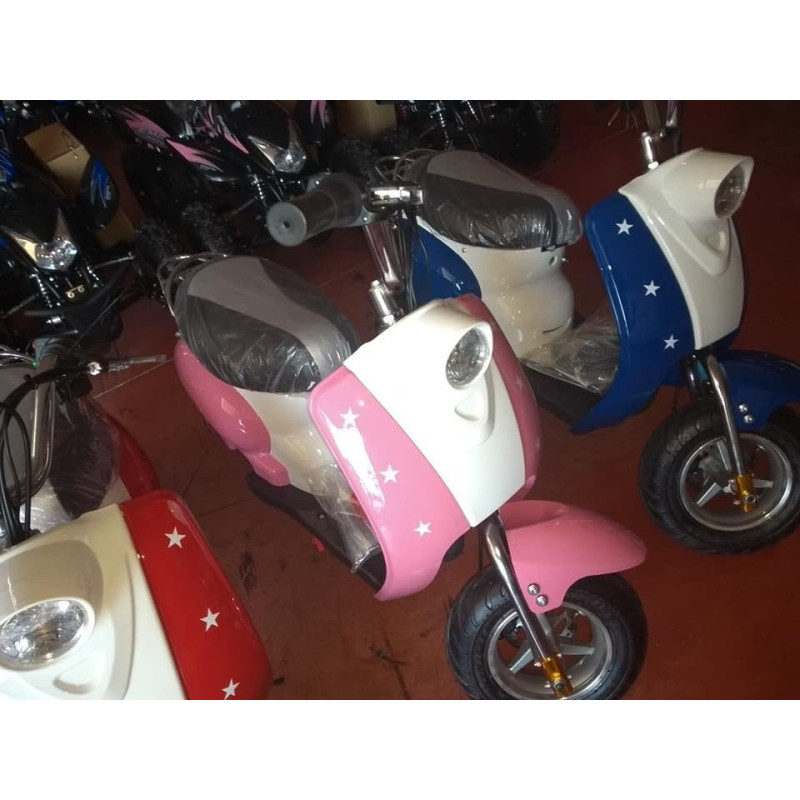 MINIMOTO  350W  LLANTA 6,5