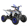 MINIQUAD 50CC M2R RACING