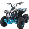 QUAD  BIG   1000W ELECTRICO CALANGO