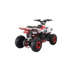 QUAD RAPTOR 125CC  AUTOMATICO