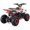 QUAD RAPTOR 125CC  AUTOMATICO