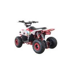 QUAD RAPTOR 125CC  AUTOMATICO