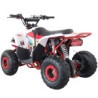 QUAD RAPTOR 125CC  AUTOMATICO