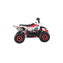 QUAD RAPTOR 125CC  AUTOMATICO
