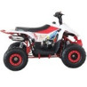 QUAD RAPTOR 125CC  AUTOMATICO