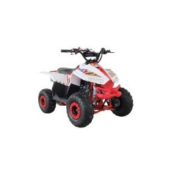 QUAD RAPTOR 125CC  AUTOMATICO