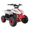 QUAD RAPTOR 125CC  AUTOMATICO