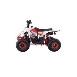 QUAD RAPTOR 125CC  AUTOMATICO