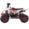 QUAD RAPTOR 125CC  AUTOMATICO