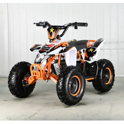 Tienda de Mini Quads eléctrico, Pit Speed en Intermotor Alicante