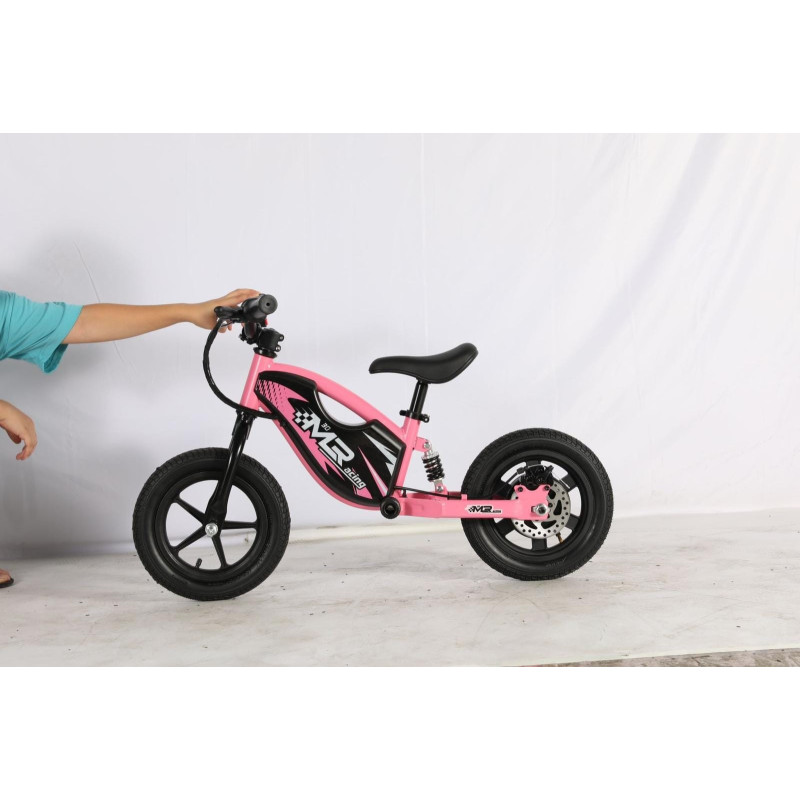 BIBICLETA 100W  ELECTRICA