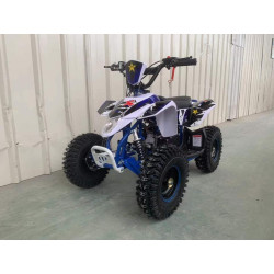 QUAD  50CC INFANTIL LTR