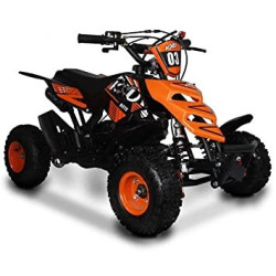 QUADMINI 50CC  RAPTOR R 4