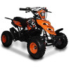 QUADMINI 50CC  RAPTOR R 4