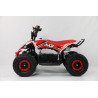 QUAD MR  1000W ELECTRICO 48V