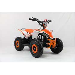 QUAD MR  1000W ELECTRICO 48V