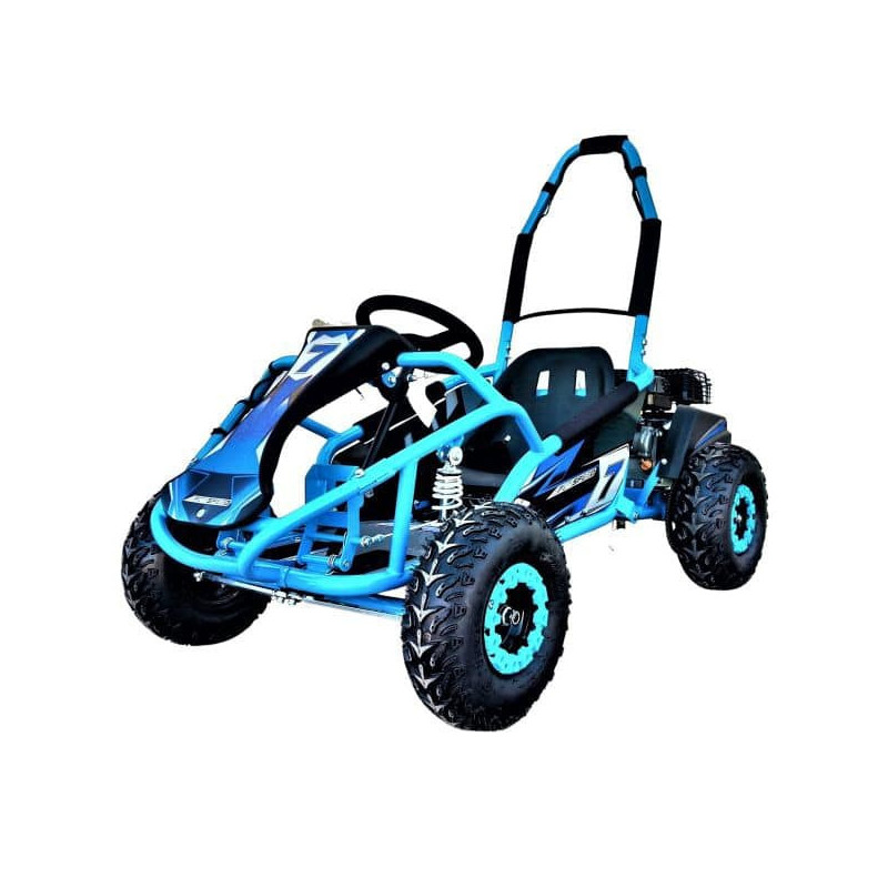 Buggy Eléctrico 1000W G-Kart Motor Brushless