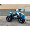 QUAD 125CC  VR12 POLAR Z  Con marcha atras