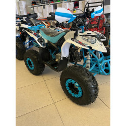 QUAD 125CC  VR12 POLAR Z  Con marcha atras
