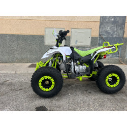 QUAD 125CC  VR12 POLAR Z  Con marcha atras