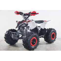 QUAD 125cc RAPTOR LCD  LLanta 8