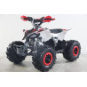 QUAD 125cc RAPTOR LCD  LLanta 8