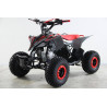 QUAD RAPTOR 125CC LCD LLANTA 7
