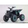 QUAD COMANDER 1200W 48V LLANTA 8
