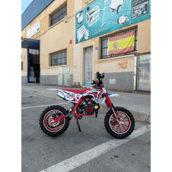 Minimoto Cross  ZEROX M2R
