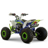 QUAD  AF150CC y pantalla