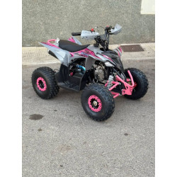 Mini Quad MR Mini Raptor    110CC (R-6 Llanta)
