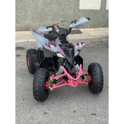 Mini Quad MR Mini Raptor    110CC (R-6 Llanta)