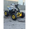 Mini Quad MR Mini Raptor    110CC (R-6 Llanta)