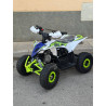 Mini Quad MR Mini Raptor    110CC (R-6 Llanta)