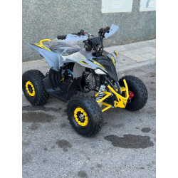 Mini Quad MR Mini Raptor    110CC (R-6 Llanta)