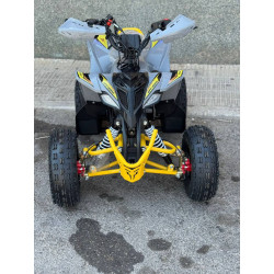 Mini Quad MR Mini Raptor    110CC (R-6 Llanta)
