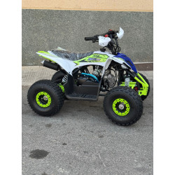 Mini Quad MR Mini Raptor    110CC (R-6 Llanta)