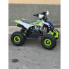 Mini Quad MR Mini Raptor    110CC (R-6 Llanta)