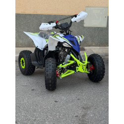 Mini Quad MR Mini Raptor    110CC (R-6 Llanta)