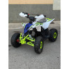 Mini Quad MR Mini Raptor    110CC (R-6 Llanta)