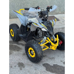 Mini Quad MR Mini Raptor    110CC (R-6 Llanta)