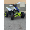 Mini Quad MR Mini Raptor    110CC (R-6 Llanta)