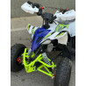 Mini Quad MR Mini Raptor    110CC (R-6 Llanta)