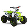 Quad Mini Raptor 50 R-6