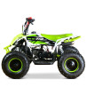 Quad Mini Raptor 50 R-6