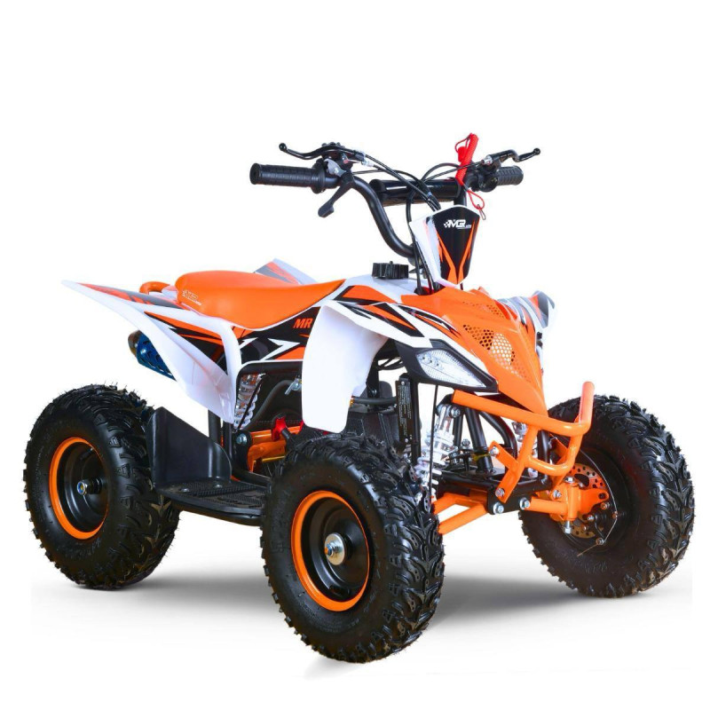 Quad Mini Raptor 50 R-6