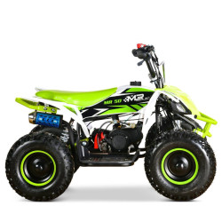Quad Mini Raptor 50 R-6